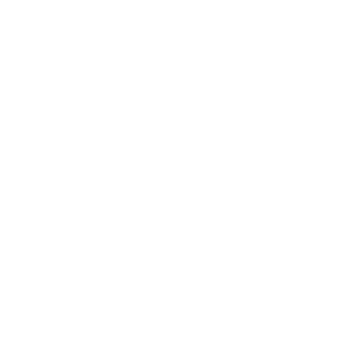eis process